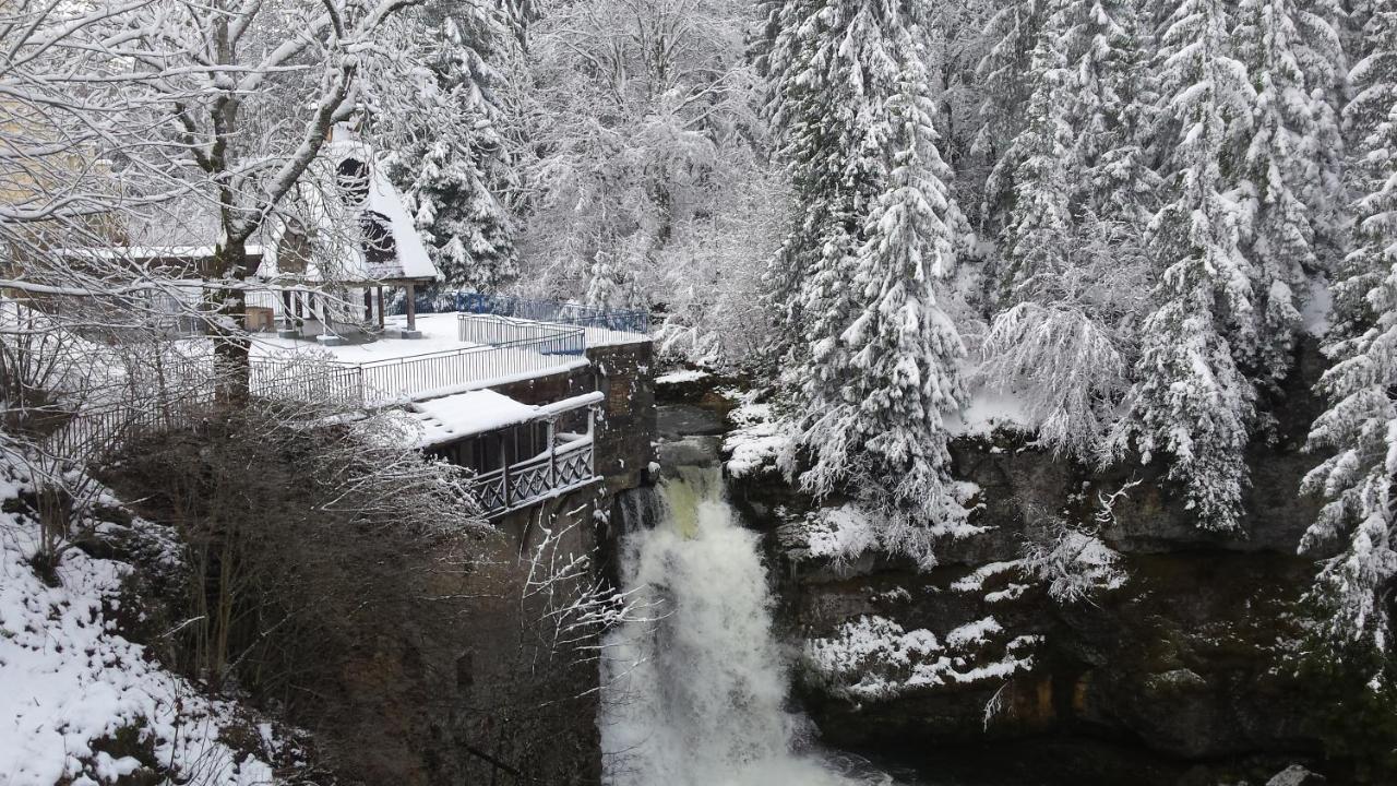 Aux Truites Bleues Hotell Fort-du-Plasne Exteriör bild